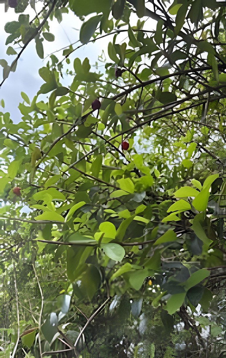 Suíte Capri | Casa Costiera – Villa Dolce Mare