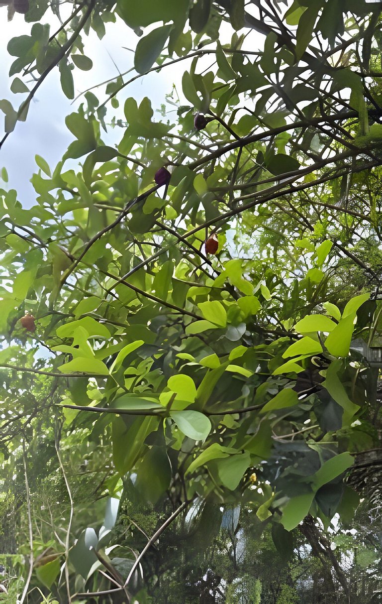 Suíte Amalfi | Casa Costiera – Villa Dolce Mare